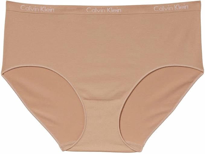 Calvin Klein Women's Stretch Seamless Modern Brief 3-Pack Panties