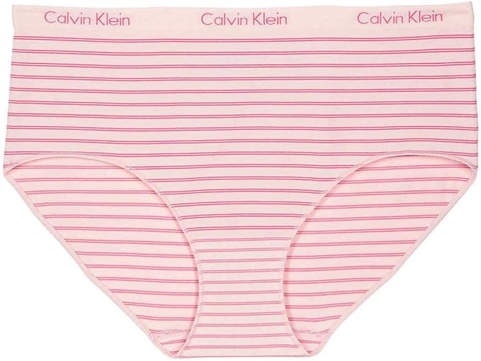 Calvin Klein Women's Stretch Seamless Modern Brief 3-Pack Panties