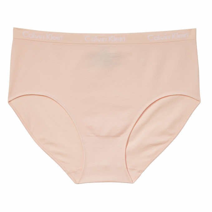 Calvin Klein Women's Stretch Seamless Modern Brief 3-Pack Panties