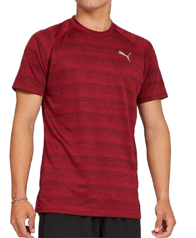 Puma Men's Short Sleeve Pace T-Shirts